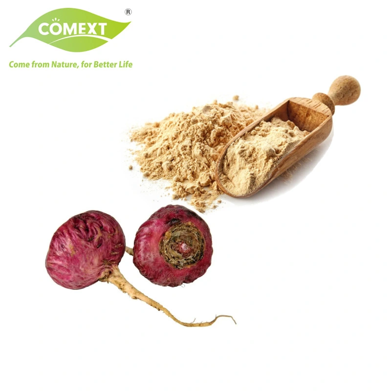 Comext China Hersteller Kostenlose Probe USA Inventory Organic Herbal Root Powder 10: 1 0,6% Macamiden Pflanze Rot Schwarz Gelb Maca Extrakt für Männer Sex-Funktion