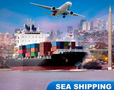 Maritime Transport From China to Spain Freight Forwarder LCL DDP DDU Logistics Service