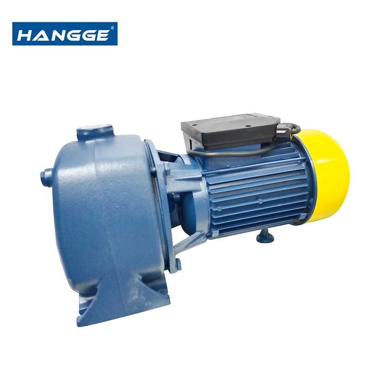 Dp Big Flow Surface High Lift Booster Centrifugal Selfpriming Water Pump