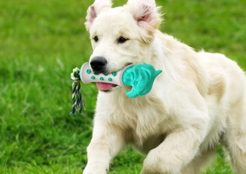 Nouvelle arrivée jouets en plastique produit Pet chien de couleur verte