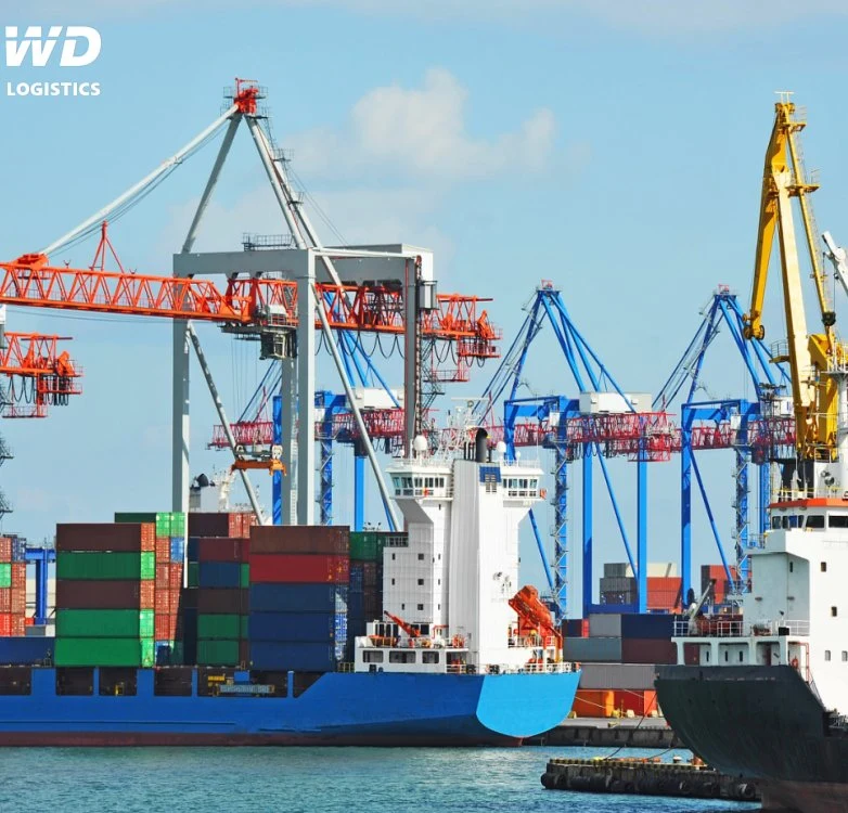 Logistics/Freight Forwarding/Low and Safe Transport Cost Delivery Cargo Sea Shipping From China to Southeast Asia