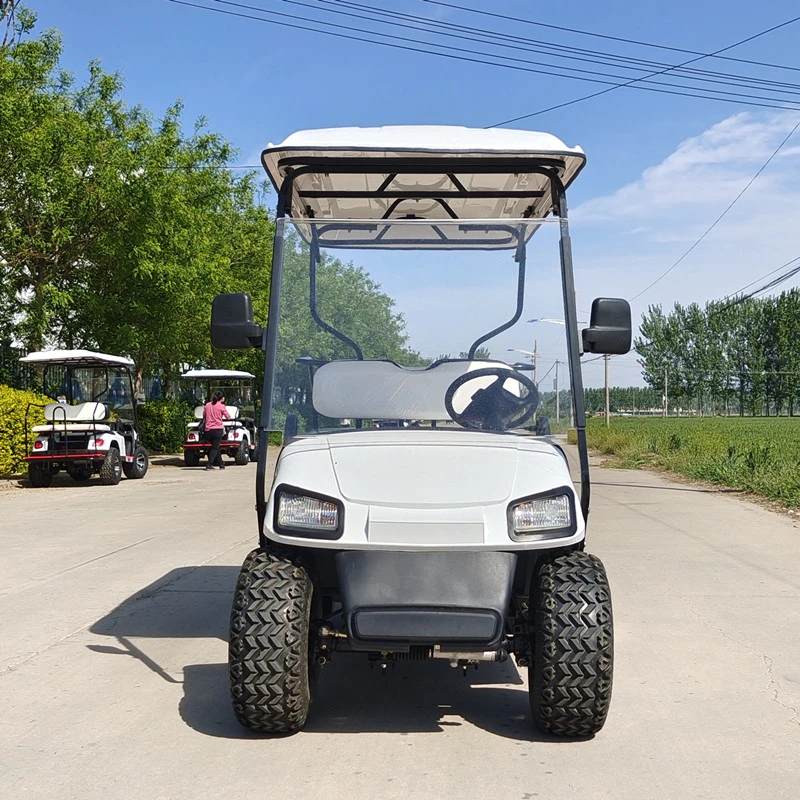 Wholesale/Supplier 2 4 6 8 Seats Golf Cart Sightseeing Vehicle/ Electric Utility Golf Car
