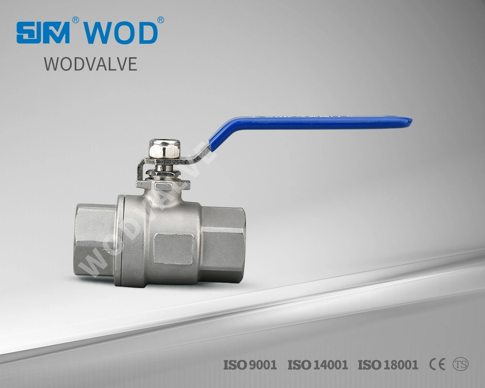 Dn100 2PC Stainless Steel 304 DIN3203-M3 Industrial Valve