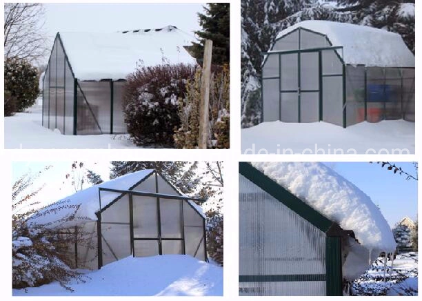 Vegetables Planting Flower House Garden Greenhouse Rdgs0818-6mm