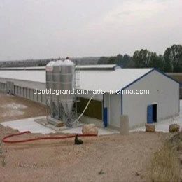 Prefabricated Steel Structure Poultry House/Chicken House (DG6-006)