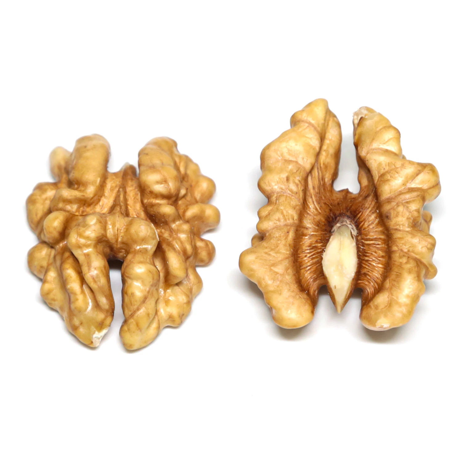 Walnut Kernels, Walnut Without Shell with High Protein18mm-24mm