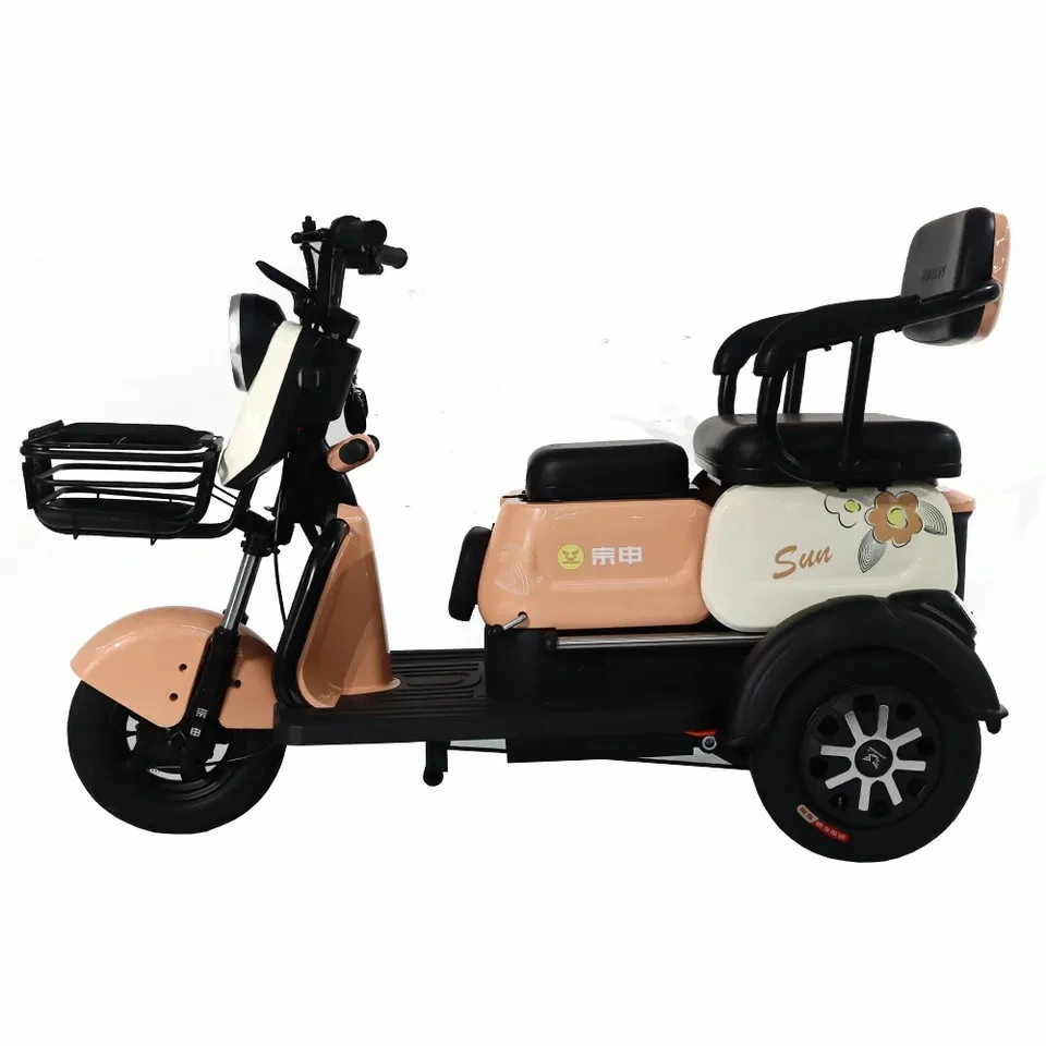 Mini Three Wheeler Tricycle Electric Moped 48V 600W Leisure Scooter Good Looking Fall Prevention Electric Motorcycle