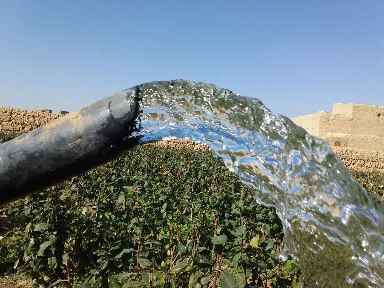 El Bedford Strong DC de calidad de controlador de bomba fuera de la red inversor solar