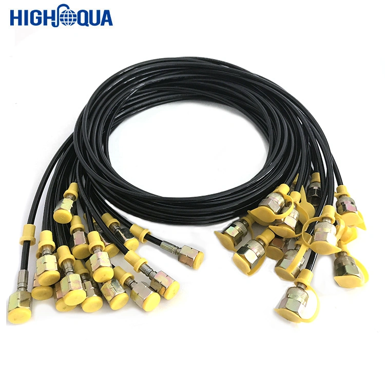 Ultra High Pressure Hose Twin Thermoplastic Hydraulic Hose SAE 100 R7 Standard Manufacturer