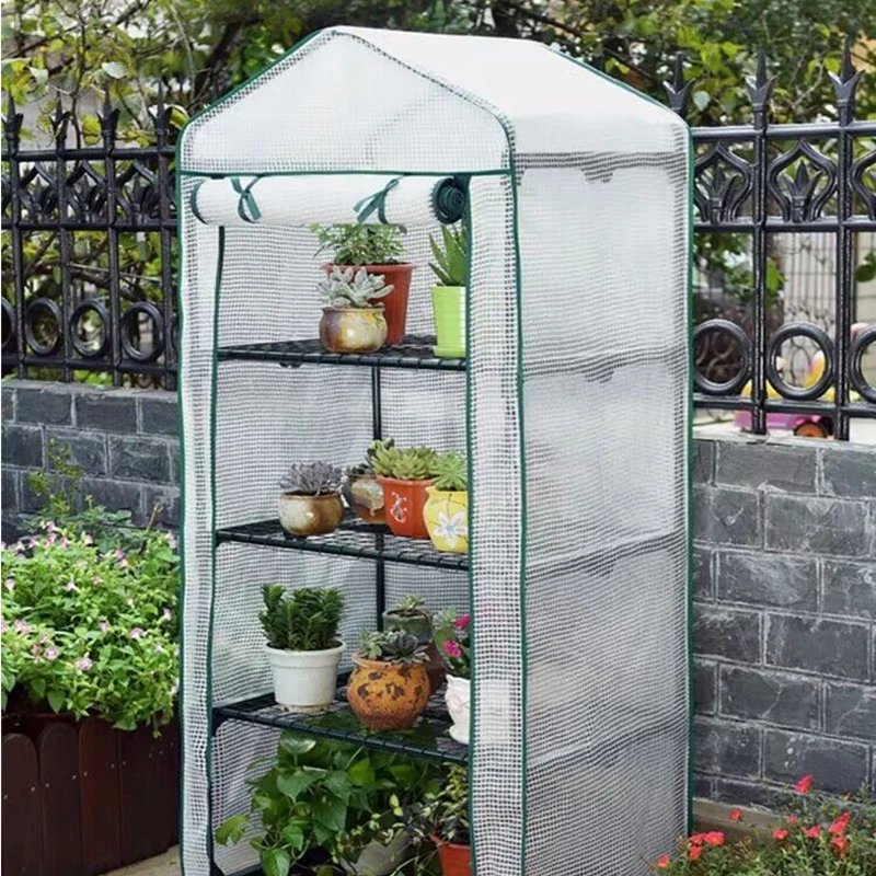 Strong Hobbyist Small Garden Greenhouse for Gardening Enthusiasts