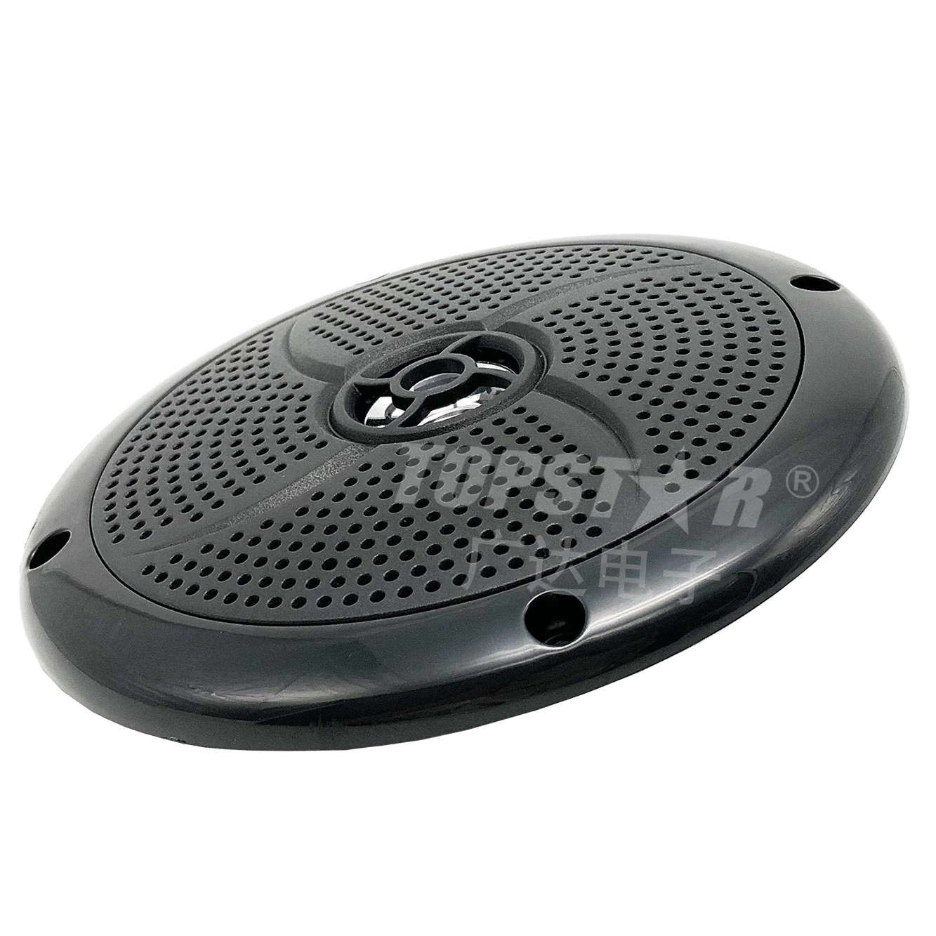 Good Quality Professional Car Spakers Ts-1330