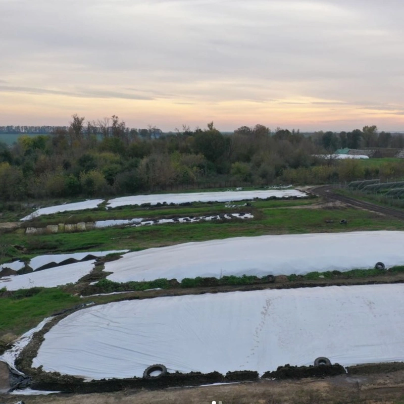 Película Panda Blanco y Negro película de envuelta de ensilaje de Tarps de Silo Película Poly de 5,5 mil