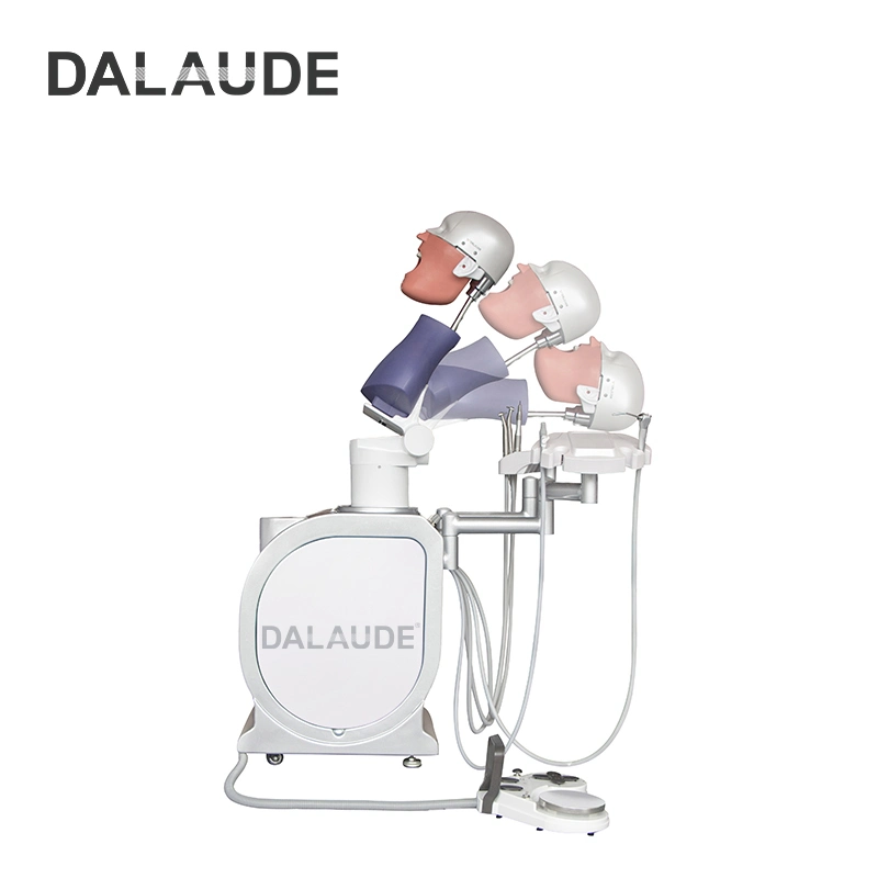 Dalaude Dental Patient Training Simulator Unit Oral Teaching Simulation Practice Simulator