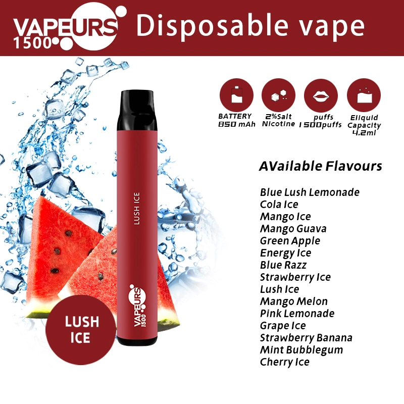 USA Vapeurs 1500 Puffs Disposable/Chargeable Vape Device E-Liquid Flavor and Vaping Equipment