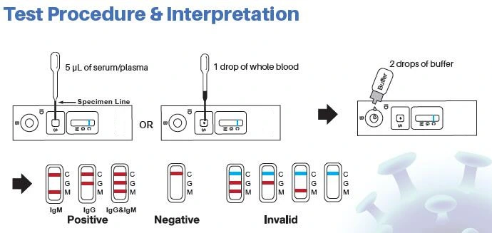 Dispositif de test d'anticorps IgG/IGM de diagnostic AG rapide SingClean pour l'infectieux Maladie