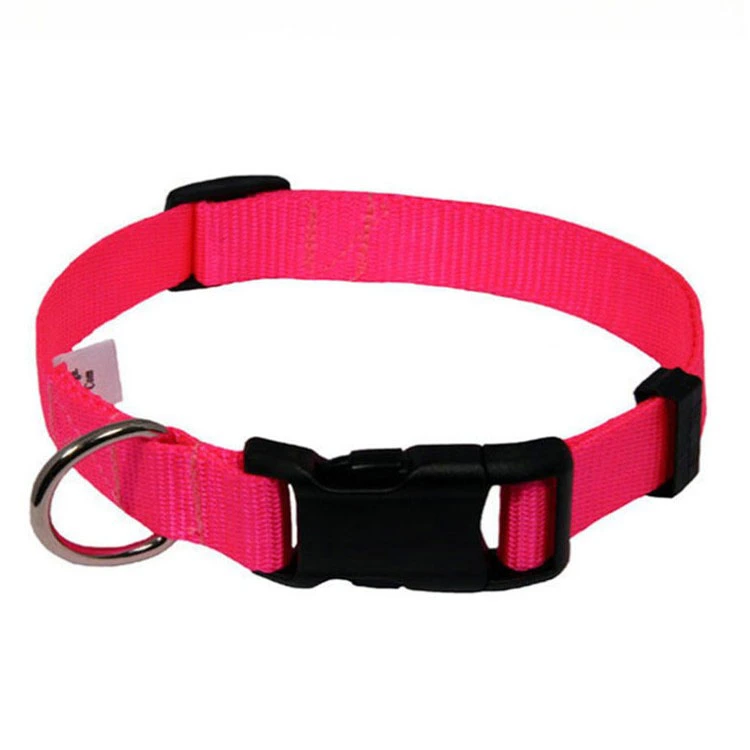 Custom High quality/High cost performance Nylon Dog Collars