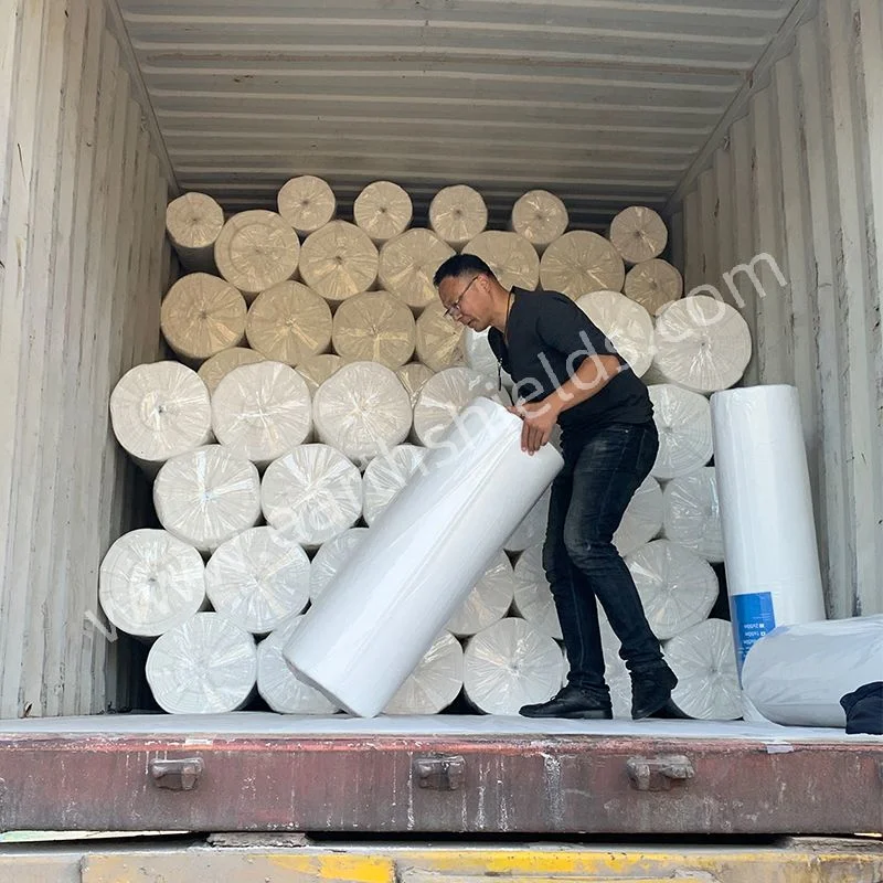 Pet Non Woven Geotextile Fabric for Landfill Project