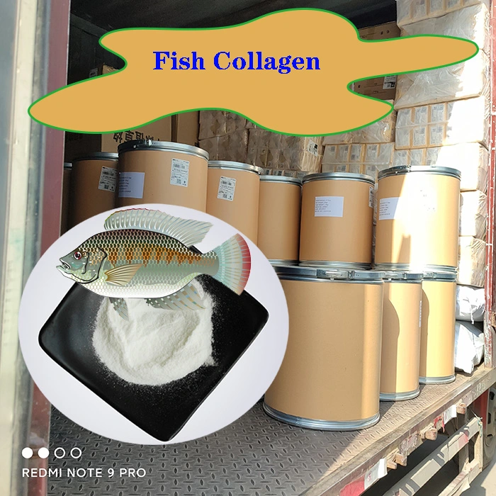 Высокое качество рыбы коллагена Peptide пищевых сортов рыб коллагена белка порошок
