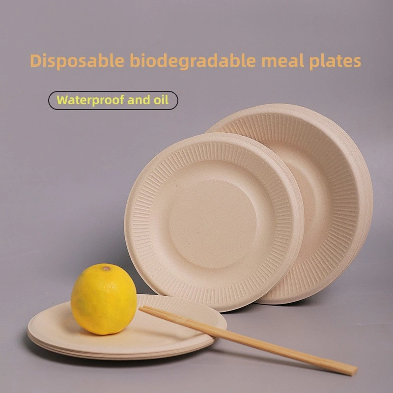 Amazon Degradation Tableware Hot Sale Waterproof and Oil-Proof and Degradable Meal Plates