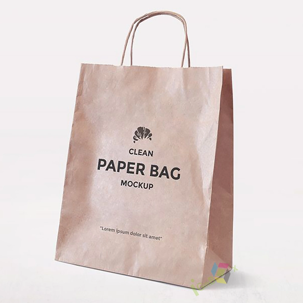 High Quality Cosmetics Jewelry Paper Packaging Gift Bag with Handle