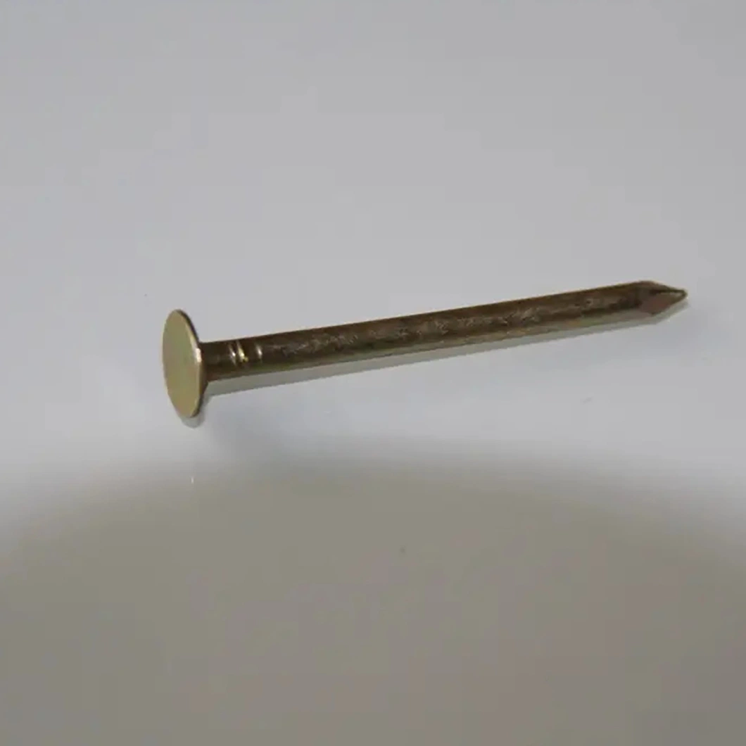 Round Head / Smooth Handle / Common Wire Nail / Wood Nail