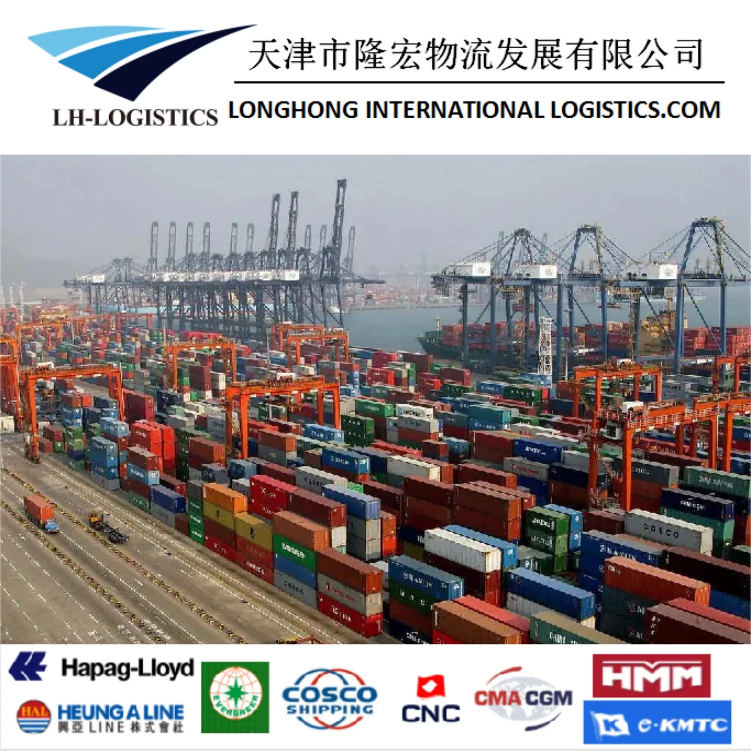 Professional Sea Forwarder Shipping Agent Freight Cost Rates China to India 1688/Alibaba