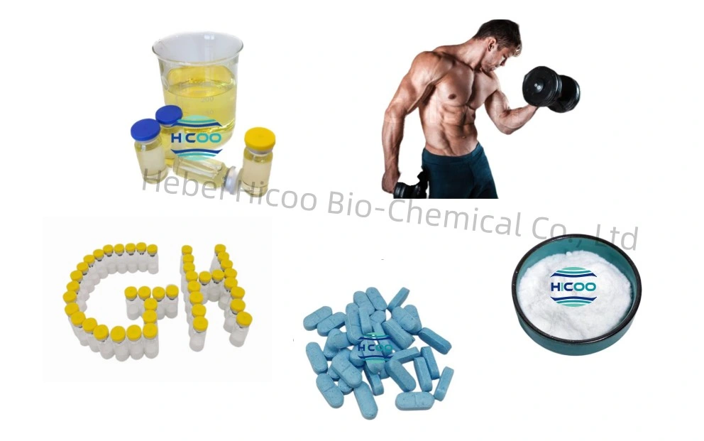 Muscle Building Supplements Peptide Steriods Powder