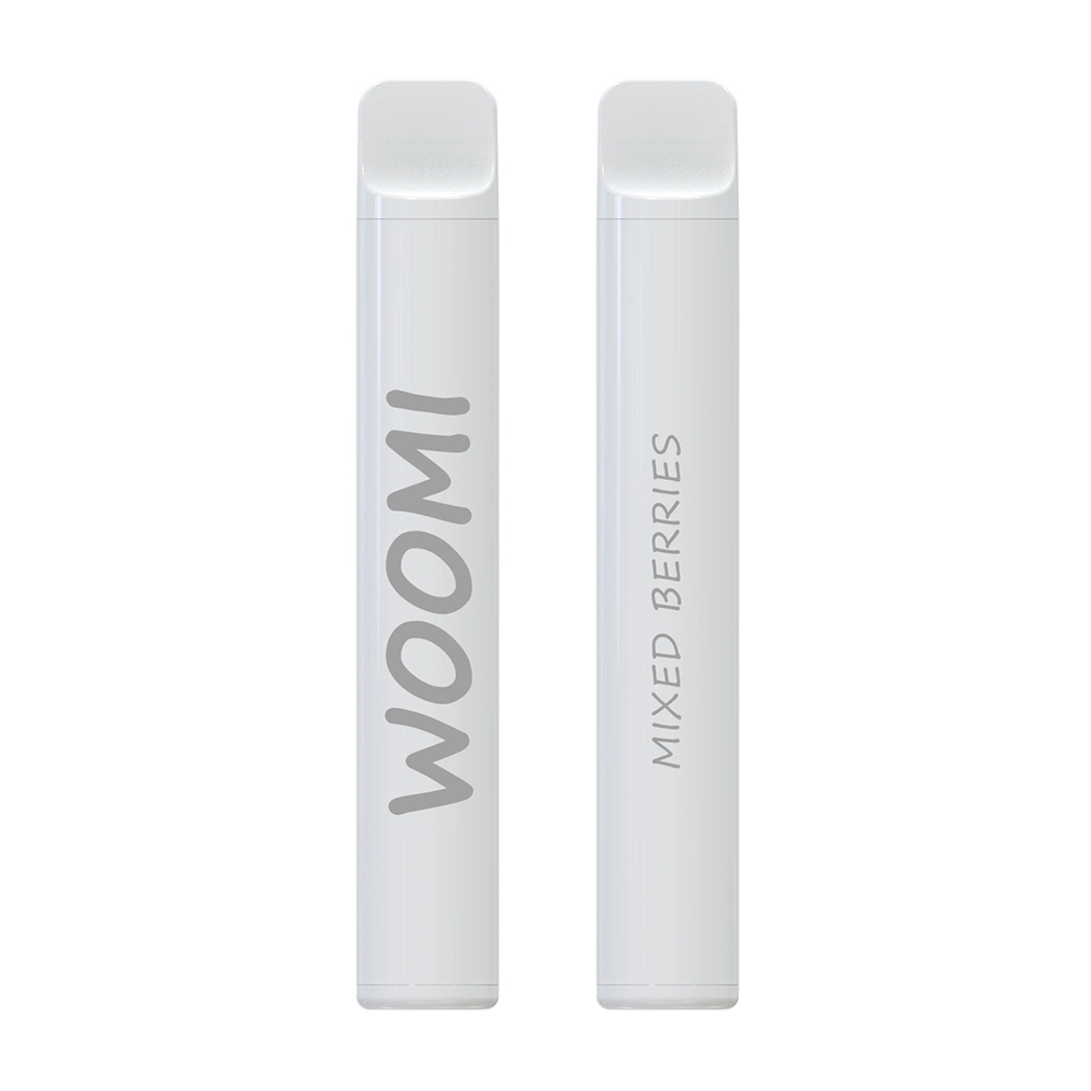 Disposable/Chargeable Vape Pod Vaporizer Vape Customized Brand Factory Price Woomi Snow 600 Mesh Coil All Fruit Flavors Vaporizer