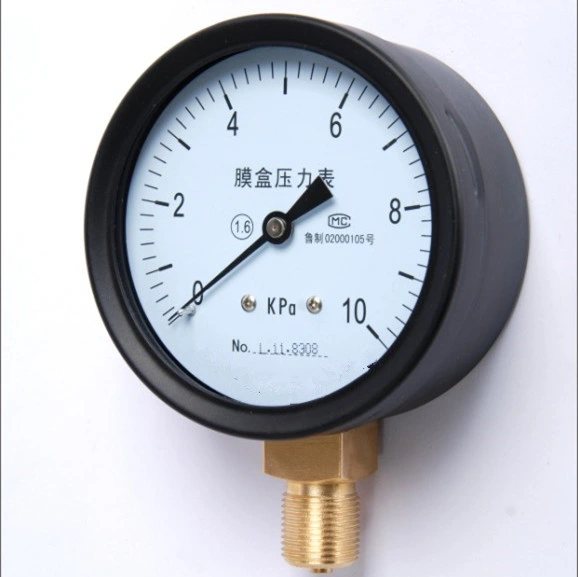 Stainless Steel Bottom Connection Capsule Pressure Gauge