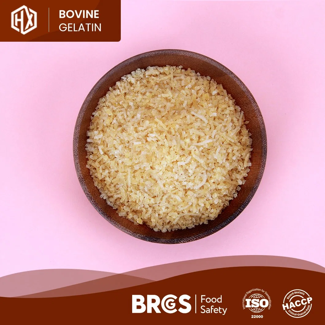 Haoxiang Yellow Granular Essbare Bovine Haut Gelatine Probe Verfügbar Bovine Skin Gelatin China Factory OEM maßgeschneiderte Großhandel Lebensmittel Grade Bovine Hautgelatin