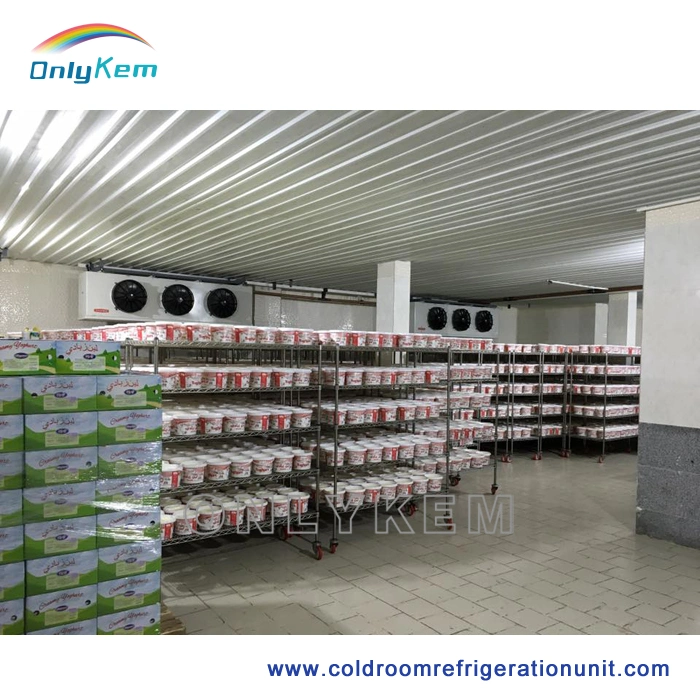 Manufacturer Frozen Fish Storage Freezer Cold Room in Bulgaria