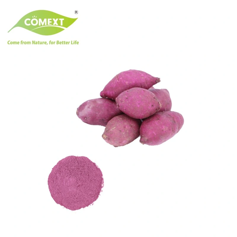 Comext Instant Fruit Juice Powder Spraying Dried Purple Sweet Potato Fruit Powder