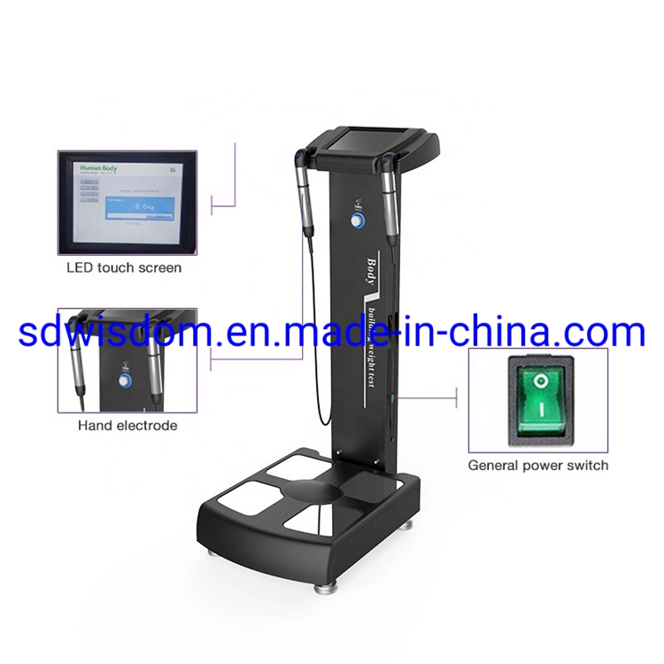 Human Body Elements Analyser Beauty Equipment/ Human Body Element Analyser/Body Analysis Machine for Home Used