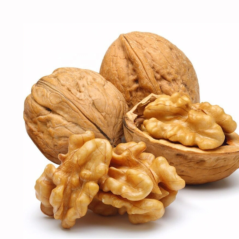 Buy Light Walnut Kernel Whole Without Skin