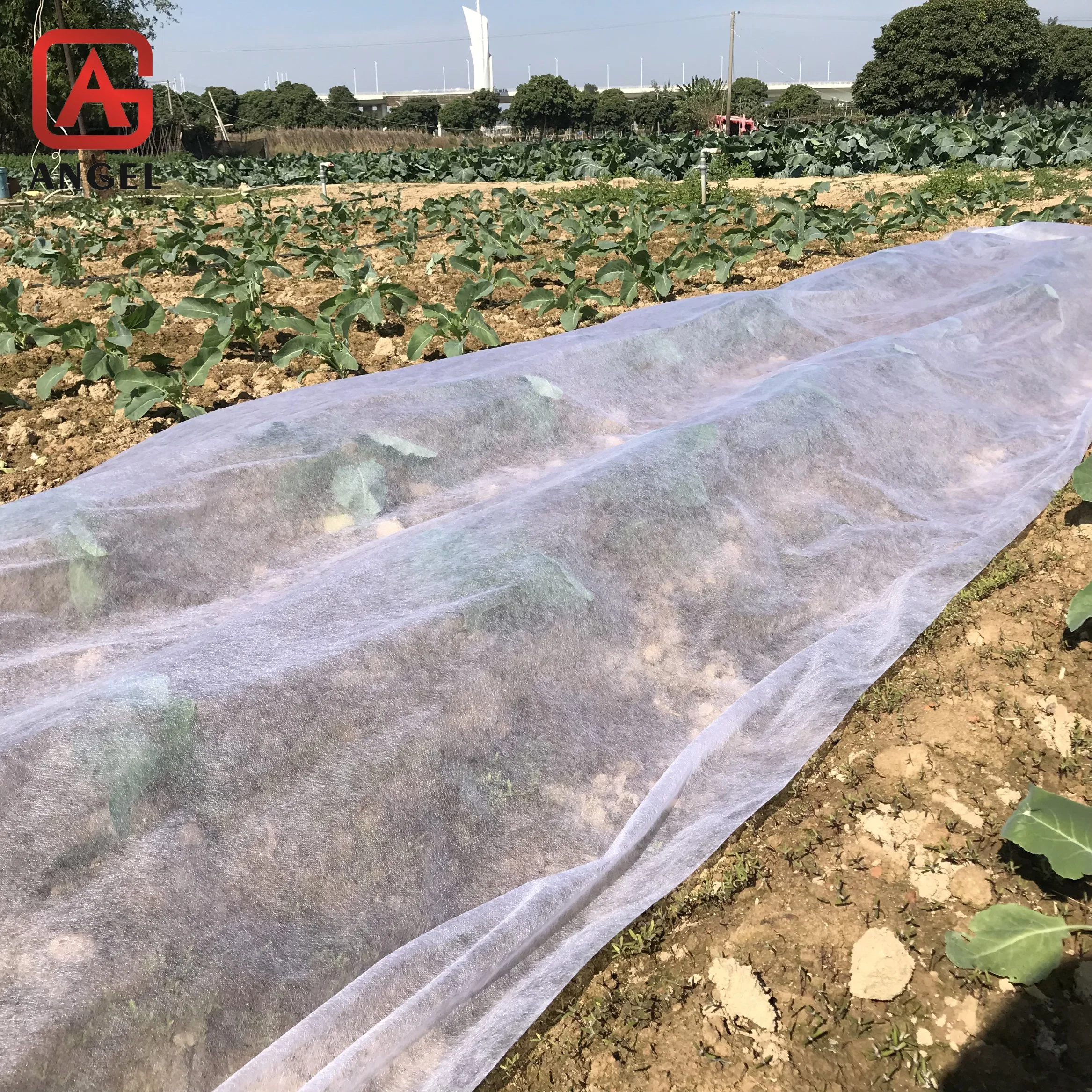 Add UV 100%PP Nonwoven Agriculture Cover Fabric