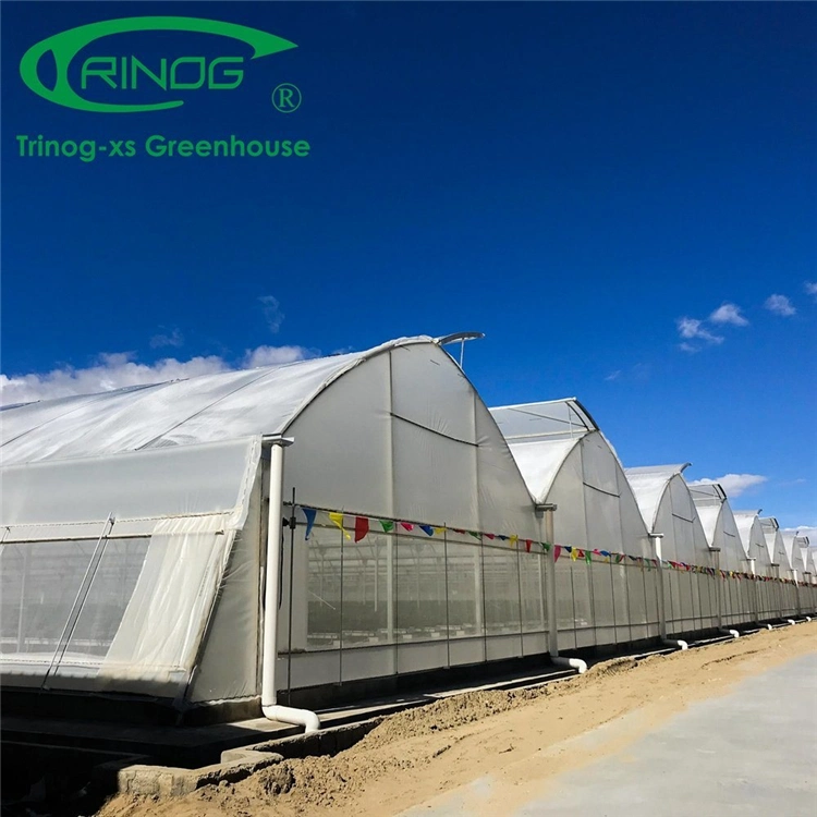 Factory Price Big Size Galvanized Steel Pipe Agricultural Multi-span Film Greenhouse with Good Quality