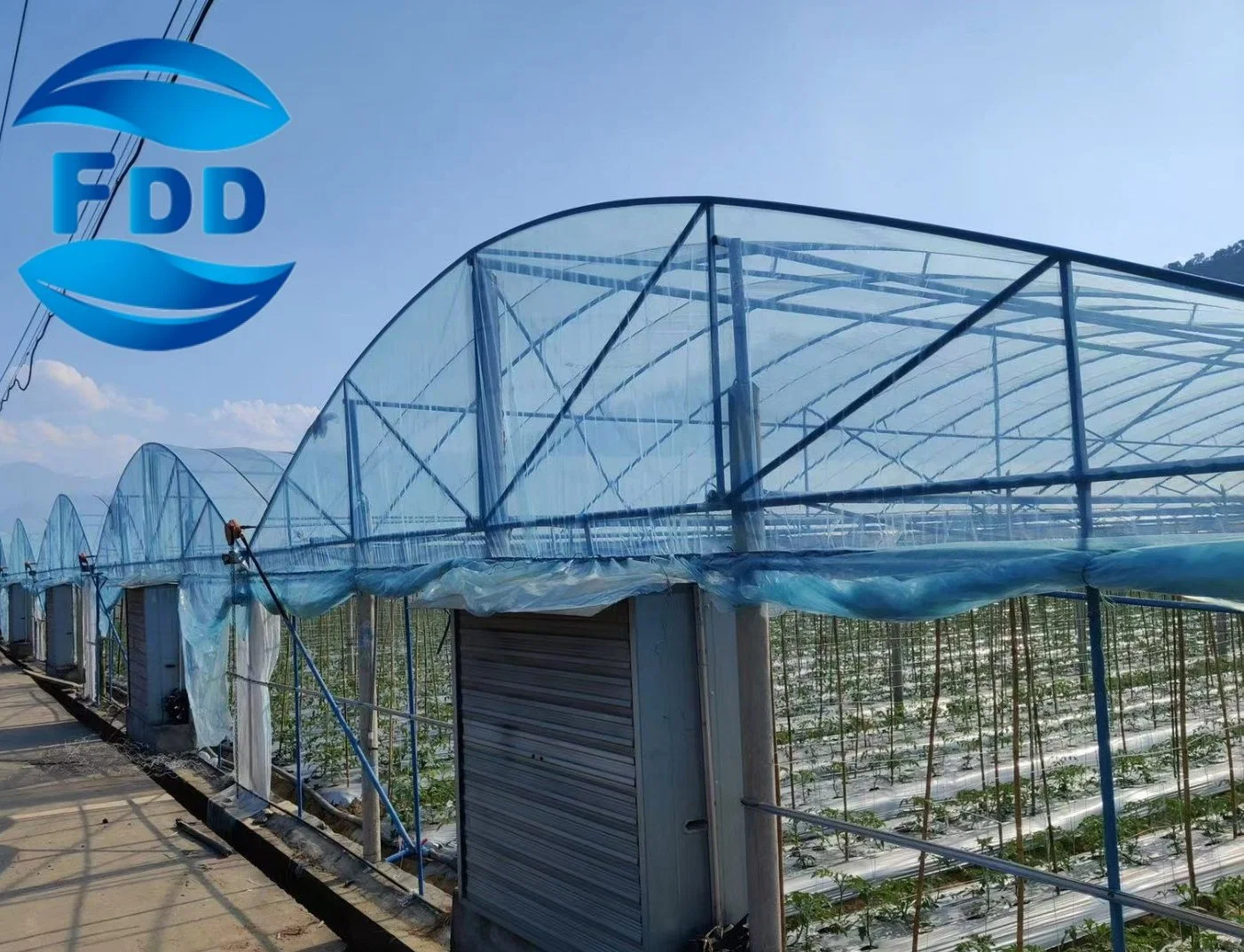 FDD High Strength Commercial Agricultural Single/Muti-Soan Greenhouse Tomato Plastic Film for Sale