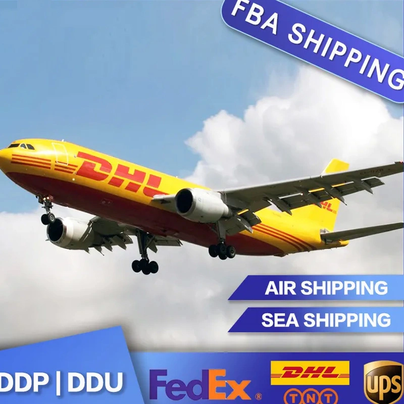 Customs Clearance and DDP Service of Shipping Battery From China to USA