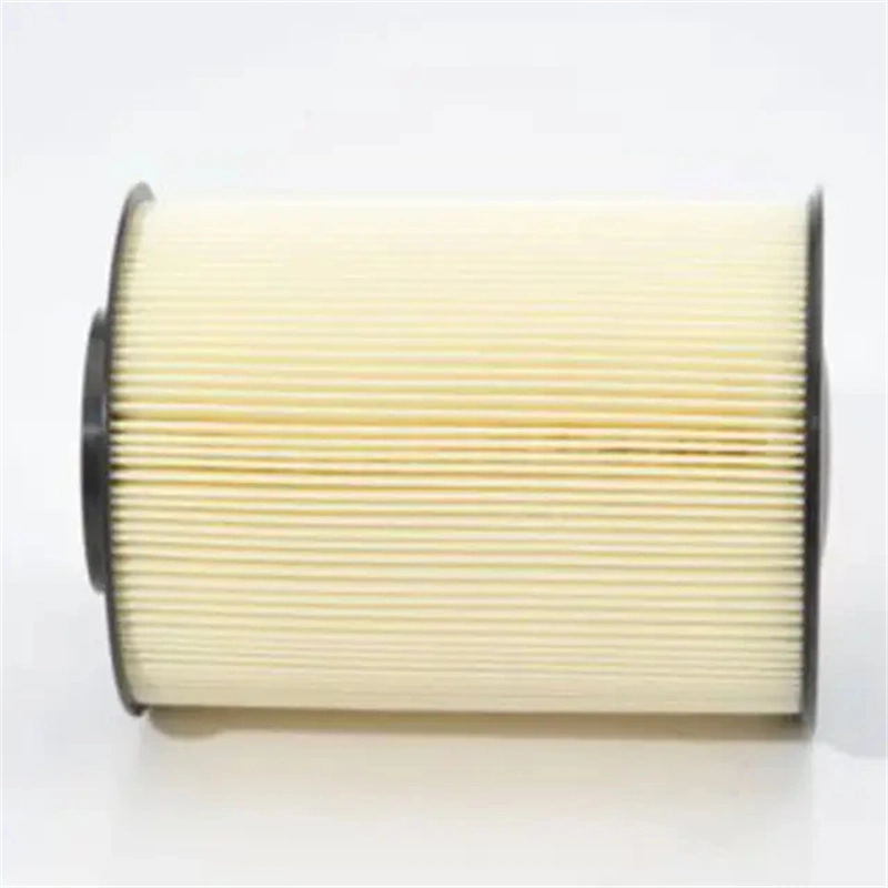 Truck Special Air Filter Supply Construction Machinery Equipment Accessories 1848220 1448616 30792881