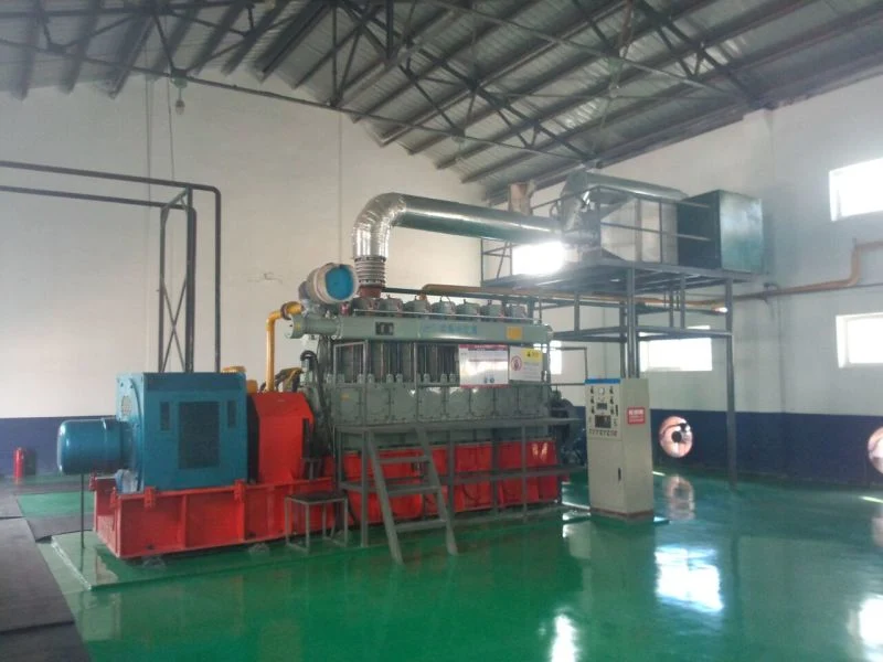 SGS Ce 900kw Coke Oven Gas Generator Plant with Exhaust Boiler