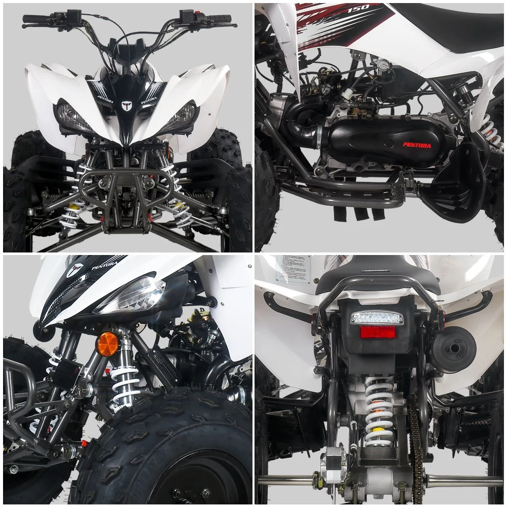 Four Stroke 125cc ATV off Road Sport Quad Bike