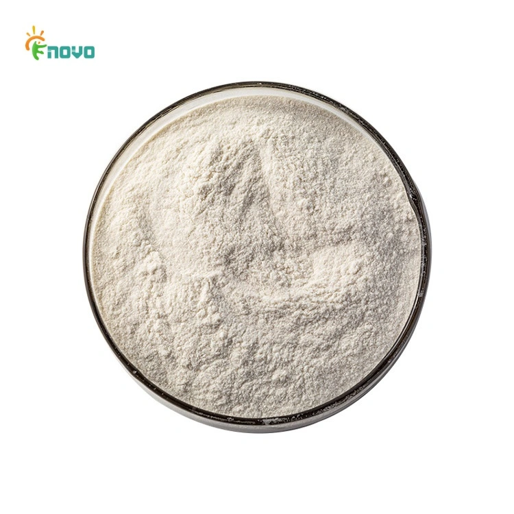 Factory Supply Wheat Gluten Powder Food Additives Vital Wheat Gluten with Halal