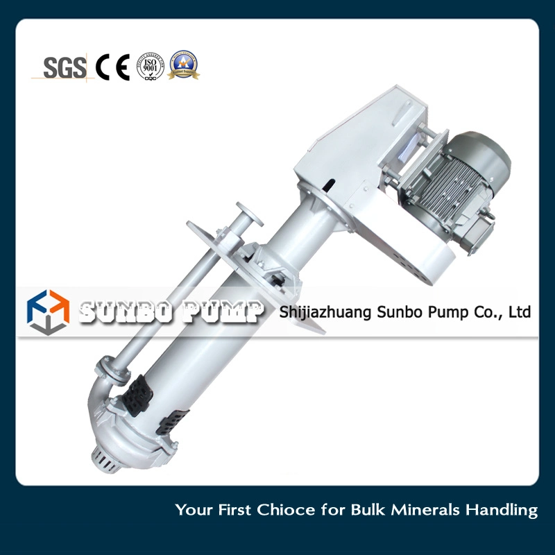 China 100RV-Sp Heavy Duty Vertical Slurry Pumps