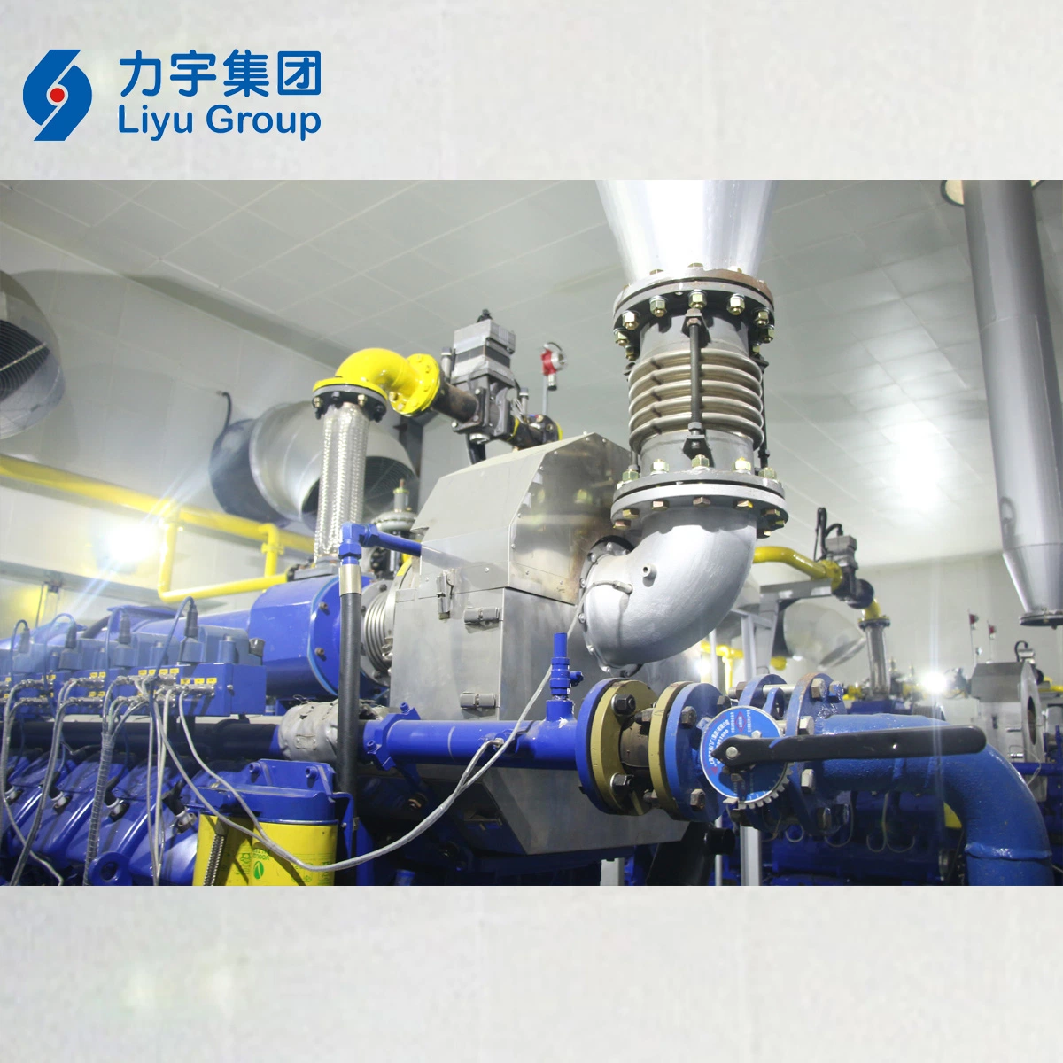 Liyu 800kw/0.8MW 12V Cylinder Low Emission High Voltage 10.5kv Biomass Gas Engine Genset Made in China