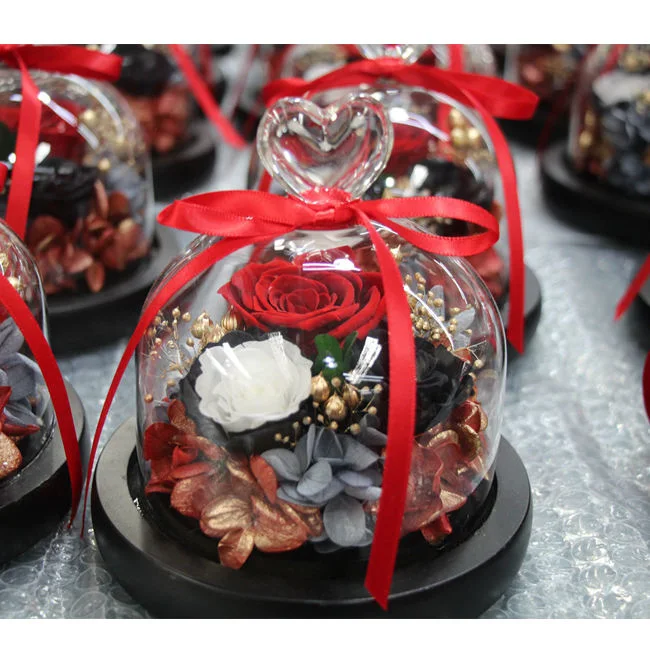 Souvenir Gift Preserved Rose Mini Dome Glass Gift Box Christmas Angel Solar Fairy Glass Jar Light Elf Cup Fashion & Special