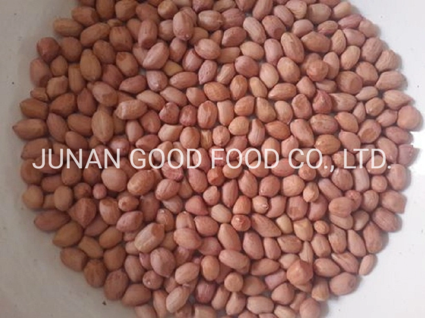 High quality/High cost performance Java Peanuts 80/90