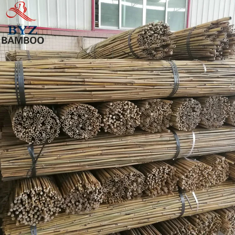 China Cheap Tonkin Natural Bamboo Poles