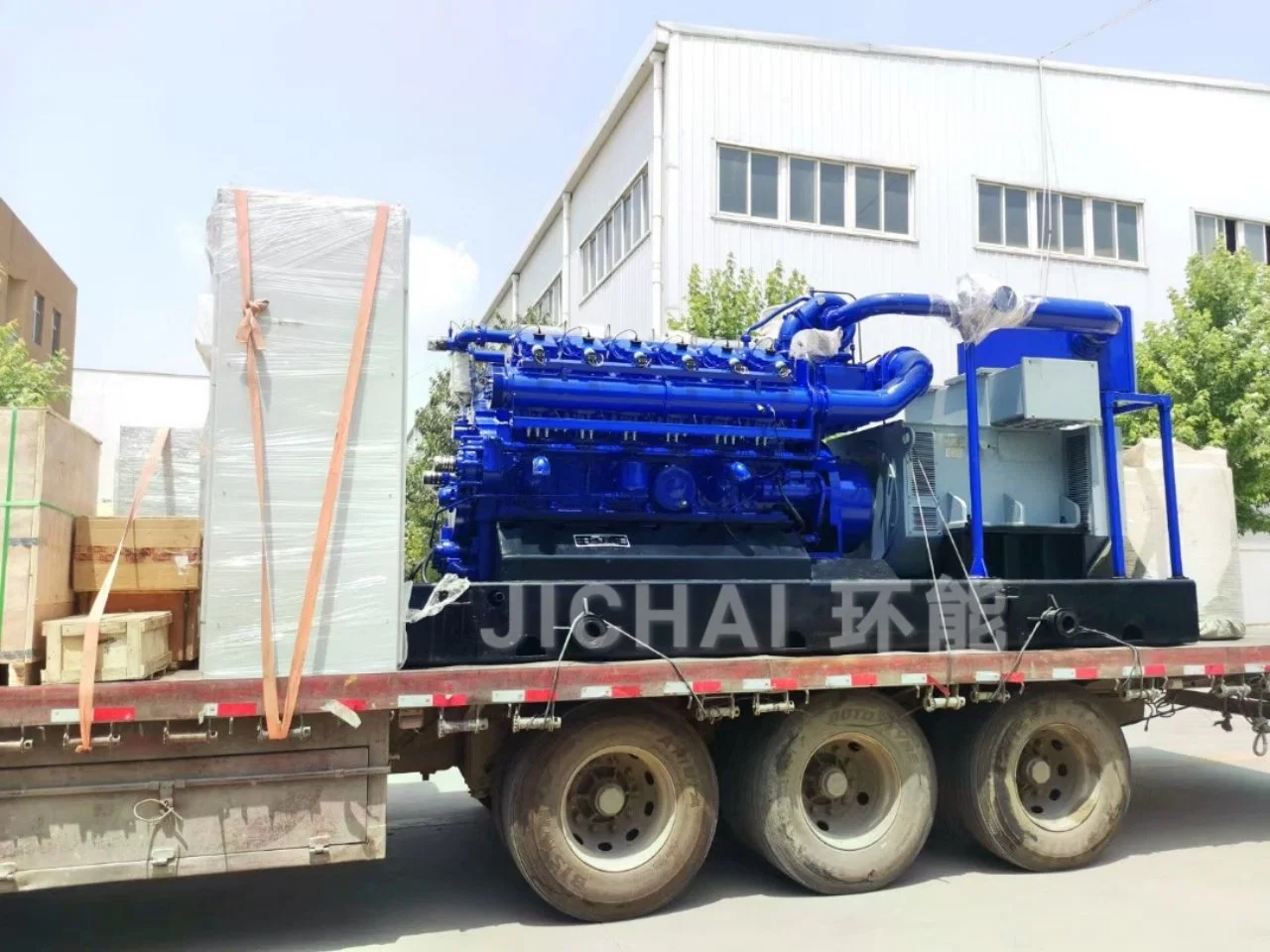 Animal Waste Biogass Engine CNG Household Set