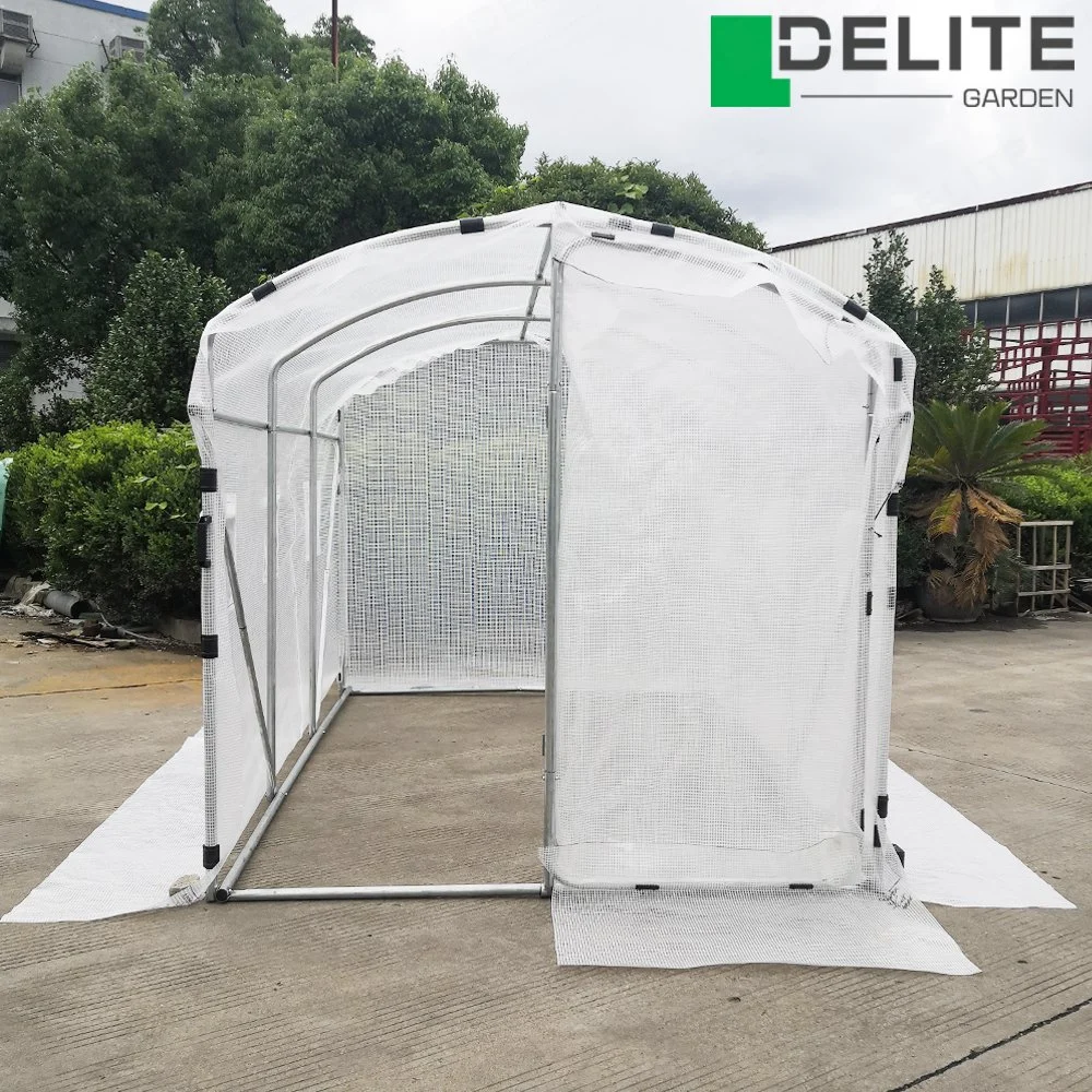 New Arrival Gardening Domestic Hobby Greenhouse Polytunnel