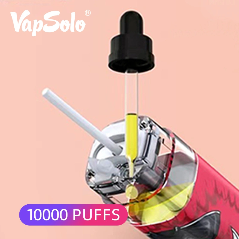 Vapsolo Randm Tornado Wholesale/Supplier Cheap Vape Pen Disposable/Chargeable Vape Bars E-Cig 10000 Puffs 2%5% Vaporizer Shenzhen vape Disposable/Chargeable Vape Pen